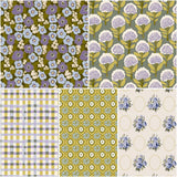 Herbarium | Market Moss Collection
