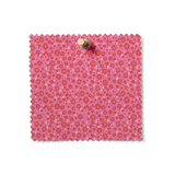 Petite Fleur | Wild Camellia