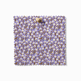 Seedling Drift | Evening Crocus