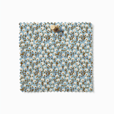 Seedling Drift | Glasshouse Shade