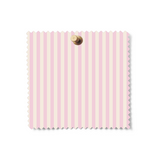 Stationer’s Stripes | Blush Ledger